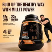 4 - BeastLife Anabolic Mass Gainer, 5.5 lb Belgian Chocolate