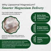 7 - Vlado's Himalayan Organics Liposomal Magnesium Complex 28000mg, Natural 60 tablets