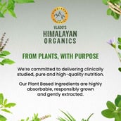 12 - Vlado's Himalayan Organics Liposomal 5X Magnesium Complex 2100mg, Unflavoured 120 veggie capsule(s)