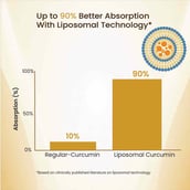 4 - Vlado's Himalayan Organics Liposomal Curcumin 95% Curcuminoids 2200mg+, 60 tablet(s)