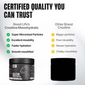 9 - BeastLife Creatine Monohydrate,  Peach  0.27 lb 