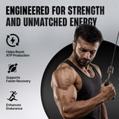 3 - BeastLife Creatine Monohydrate, Litchi 0.27 lb