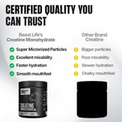 4 - BeastLife Creatine Monohydrate, Unflavoured & Neon Shaker 500ml 0.548 lb