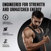3 - BeastLife Creatine Monohydrate,  Litchi & Neon Shaker 500ml  0.27 lb 