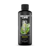 1 - BeastLife L-Carnitine with Vitamin B5 Liquid 1100mg, 450 ml Mojito