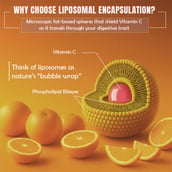 6 - BeastLife Liposomal Vitamin C,  30 capsules  Unflavoured 