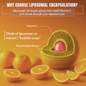 6 - BeastLife Liposomal Vitamin C,  60 capsules  Unflavoured 
