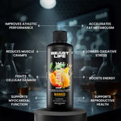5 - BeastLife L-Carnitine with Vitamin B5 Liquid 3300mg, 450 ml Mango