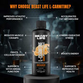 5 - BeastLife L-Carnitine with Vitamin B5 Liquid 1100mg, 450 ml Orange
