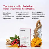 2 - Origins Nutra Berberine 500mg (Pack of 3), 28 capsules