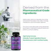 6 - Vitaminhaat Alpha Lipoic Acid 600mg,  60 capsules 