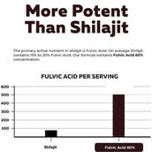 6 - Vitaminhaat Shilajit Gold,  60 capsules 