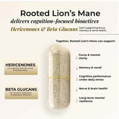 4 - Rooted Active Naturals Lion's Mane Organic Mushroom Extract,  90 veggie capsule(s) 