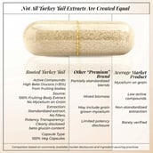 6 - Rooted Active Naturals Turkey Tail Organic Mushroom Extract, 60 veggie capsule(s)