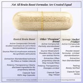 6 - Rooted Active Naturals Brain Boost, 60 veggie capsule(s)