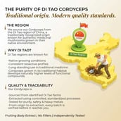 8 - Rooted Active Naturals Cordyceps Militaris Organic Mushroom Extract, 60 veggie capsule(s)