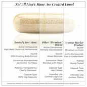 6 - Rooted Active Naturals Lion's Mane Organic Mushroom Extract, 60 veggie capsule(s)