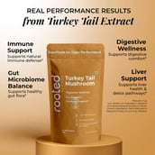 7 - Rooted Active Naturals Turkey Tail Organic Mushroom Extract, 60 g