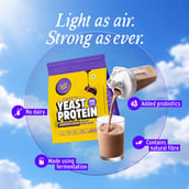 6 - Yogabar Yeast Protein, 1.1 lb Chocolate (Pack of 3)