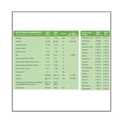 supplement - BodyFirst Whey Protein Isolate with Probiotics and Enzymes,  32 sachets/pack  Chocolate 