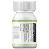 supplementinfo - INLIFE Garcinia Cambogia, 60 veggie capsule(s)