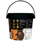 1 - Royalent Lean Mass Gainer,  11 lb  Chocolate 