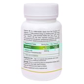 SupplementInfo - Biotrex Vitamin B5 500mg,  Unflavoured  60 veggie capsule(s) 