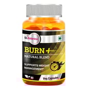 3 - St.Botanica Fat Burn+,  90 capsules  Unflavoured 