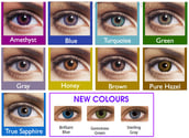 Freshlook Colorblends (Monthly Disposable)