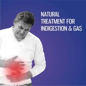 1 - Alchem Phytocid-GT,  10 capsules 