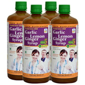 1 - SKSB GLG5 + Karela Garlic Lemon Ginger Karela with Honey Syrup Pack of 4, 525 ml