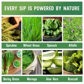 ingredients - Azani Active Nutrition Super Greens, 15 tablet(s) Green Lime (Pack of 2)