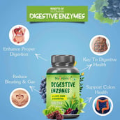 1 - Nutrainix Digestive Enzymes, 90 tablet(s)