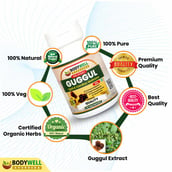 4 - Bodywell Guggul Pure Extract 500 mg, 60 veggie capsule(s)