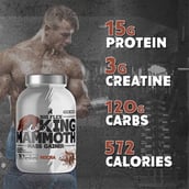 6 - Big Flex King Mammoth Mass Gainer, 6.6 lb Mocha