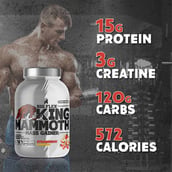 6 - Big Flex King Mammoth Mass Gainer, 6.6 lb Strawberry Banana