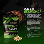 7 - MuscleXP Weight Gainer with Digestive Enzymes,  2.2 lb  Double Chocolate Pack of 2 