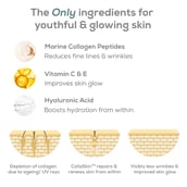 6 - TrueBasics CollaSkin,  100 g  Marine Collagen Peptides, Orange