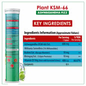 2 - Naturyz Plant KSM-66 with Ashwagandha(Apple Green Flavour), 20 tablet(s)
