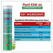 2 - Naturyz Plant KSM-66 with Ashwagandha(Apple Green Flavour),  15 tablet(s) 