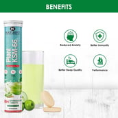 3 - Naturyz Plant KSM-66 with Ashwagandha(Apple Green Flavour), 60 tablet(s)
