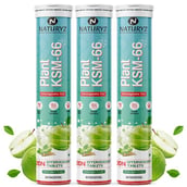 1 - Naturyz Plant KSM-66 with Ashwagandha(Apple Green Flavour), 60 tablet(s)