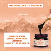 9 - Upakarma Ayurveda Pure Shilajit Resin Form with Safed Musli, 20 g