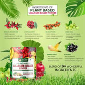 10 - Himalayan Organics Plant Based Collagen Builder Powder, 250 g Promotes Youthful Glowing skin