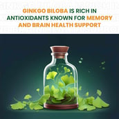 7 - Himalayan Organics Ginkgo Biloba 500mg,  60 capsules 