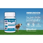 4 - NyuBoon Immuboon 500mg,  60 veggie capsule(s) 