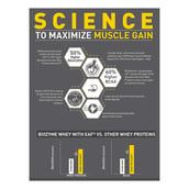 1 - MuscleBlaze Biozyme Iso-Zero Powder, 4.4 lb Low Carb Cookies & Cream