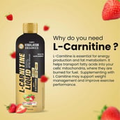 5 - Vlado's Himalayan Organics L-Carnitine Liquid 3000mg, 450 ml Strawberry Kiwi