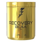 1 - Divine Nutrition Recovery BCAA 2:1:1, 0.55 lb 31 Servings Cola Lime