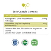 3 - BIOSAP Ashwagandha Forte,  60 veggie capsule(s) 